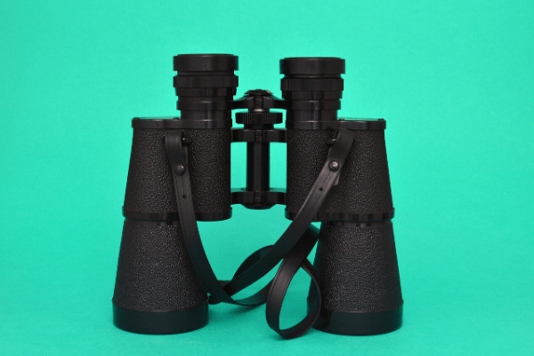 How To Use Binoculars To Their Full Potential - Our Guide!