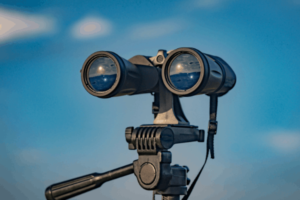 How To Use Binoculars To Their Full Potential - Our Guide!