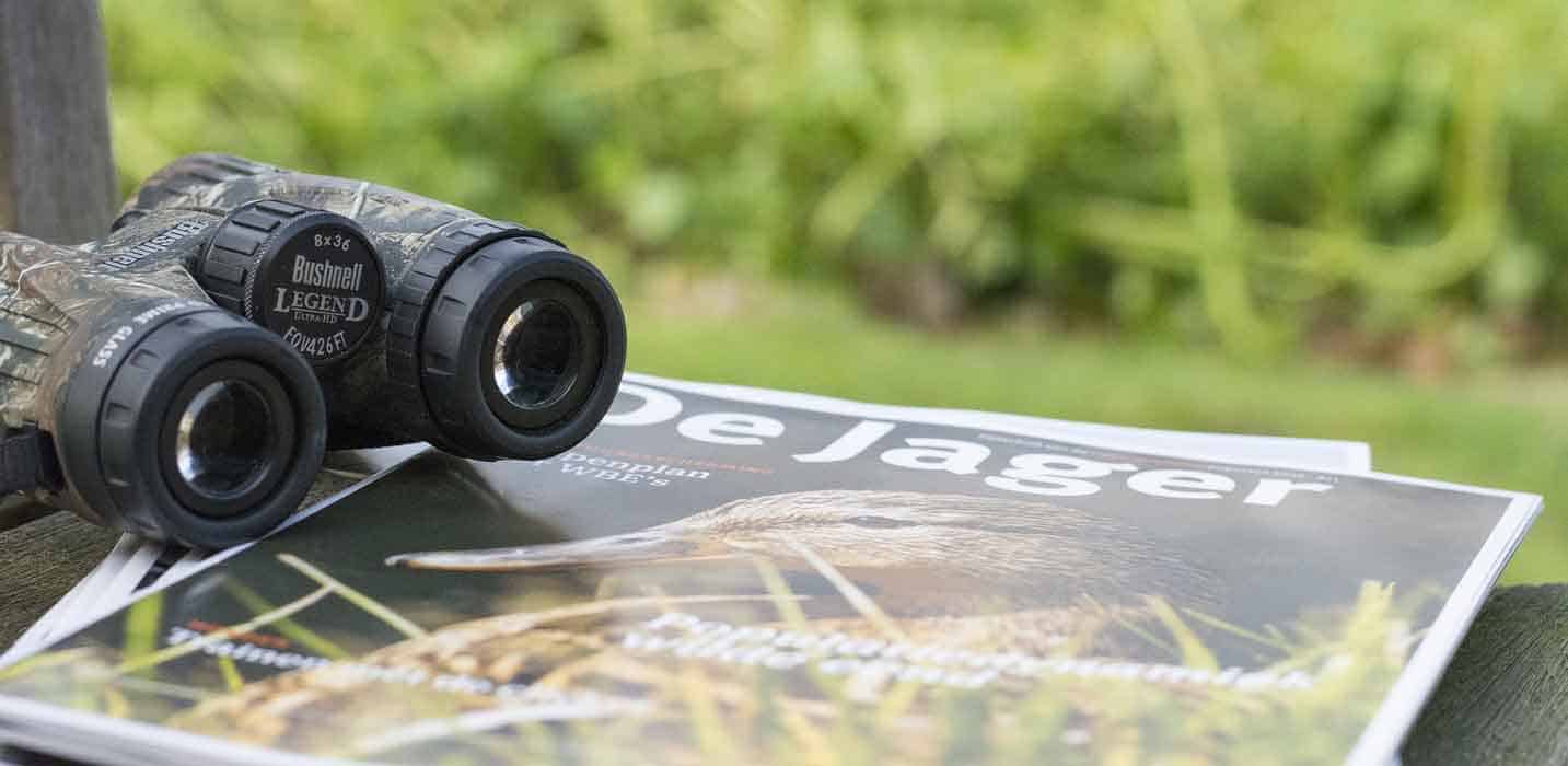 Best Binoculars For Hunting Reviewed In 2023